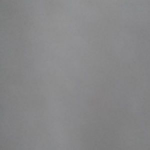 Meet your Posher, Young